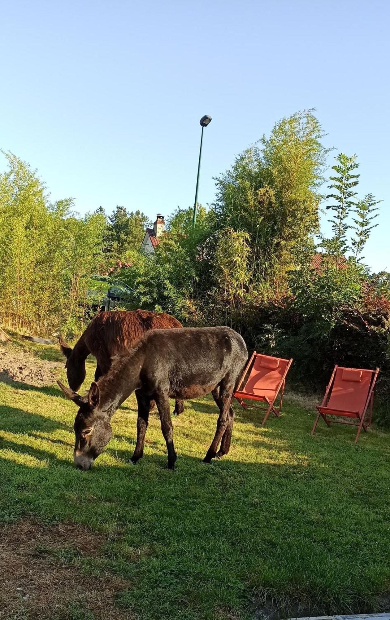 Les Anes Du Chateau D Hardelot, Pour 2 A 5 Pers Condette Екстериор снимка