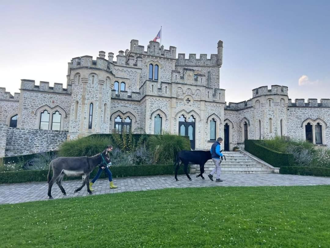 Les Anes Du Chateau D Hardelot, Pour 2 A 5 Pers Condette Екстериор снимка